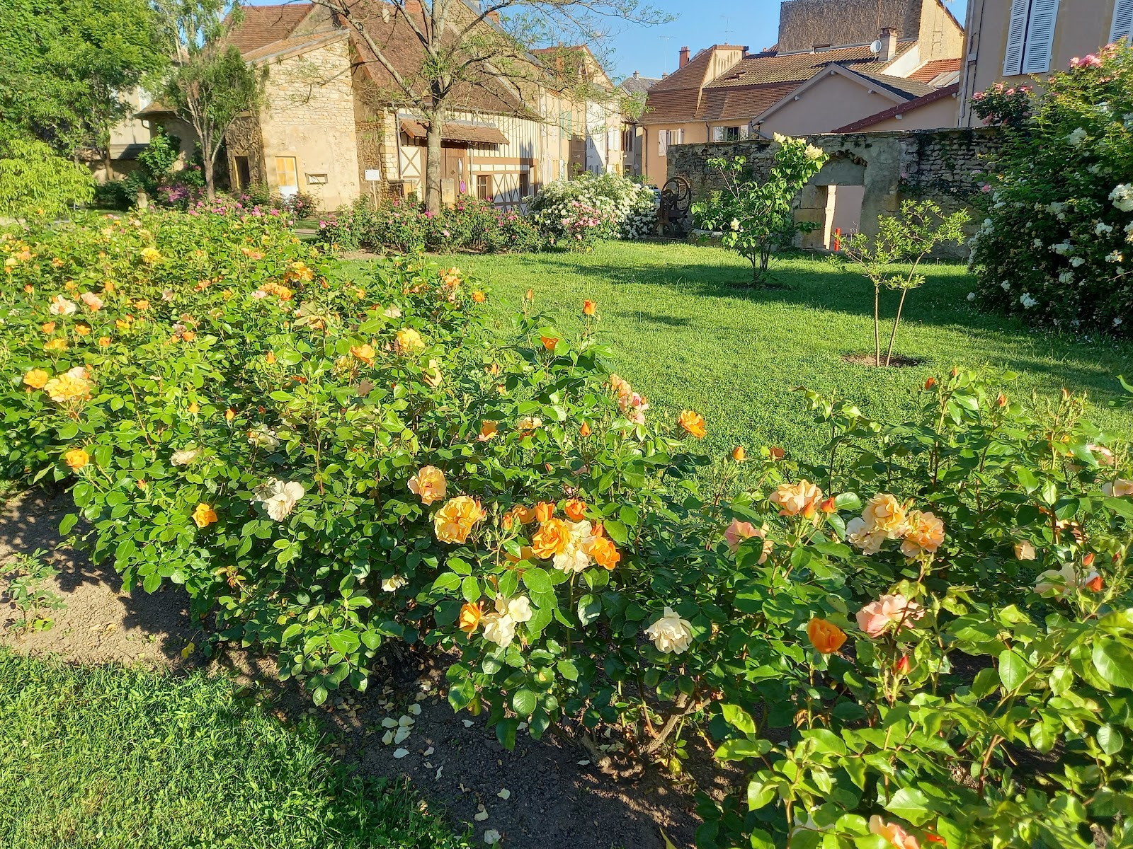 Jardin Saint Hugues